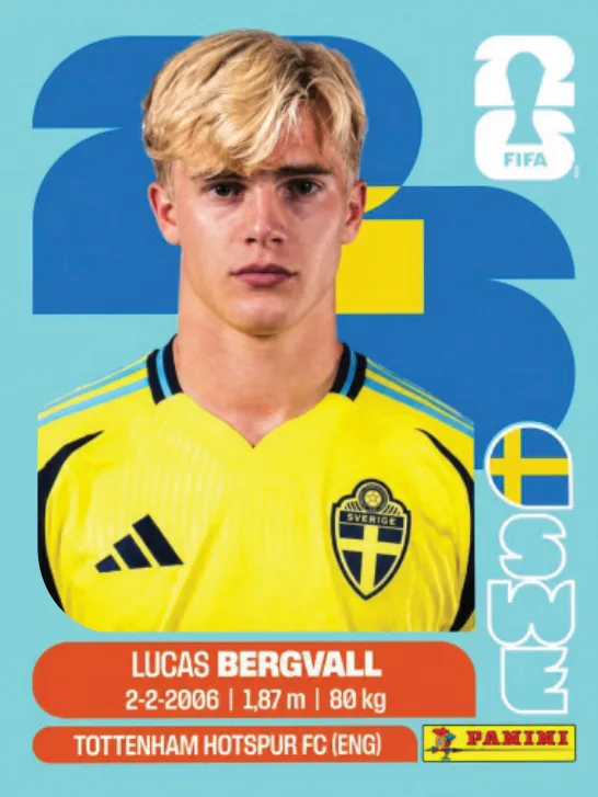 SWE 08