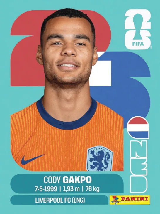 NED 20
